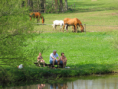 /album/fotogalerie-green-valley-park-starkov-adrspach/green-valley-park-7-png/